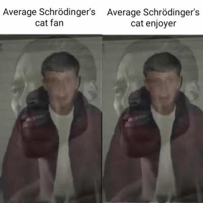 Schr&ouml;dinger's kitty.