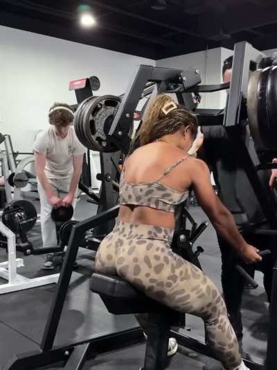 🐆🐺 4