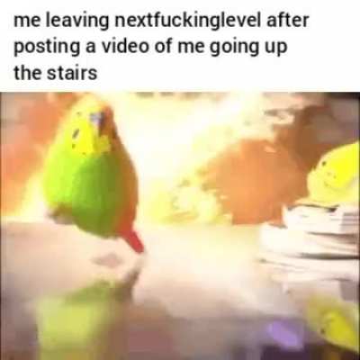 He might even be on the previousfuckinglevel