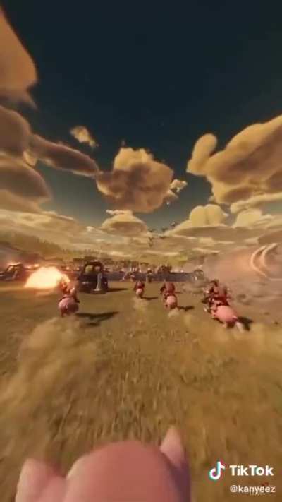 Hog rideeer