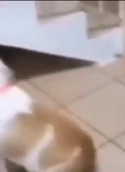 Blursed_grandma