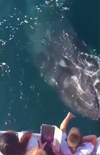 These are brave kids