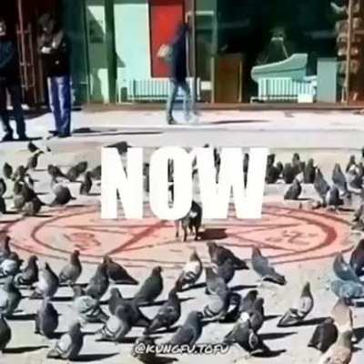 Thanks I hate this video