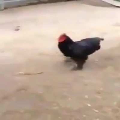 N&atilde;o me bane kkkk