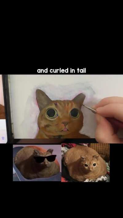 Potato is the first cat I added to The Sillies! :3