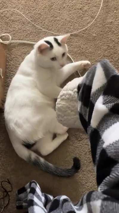 Wait for it-