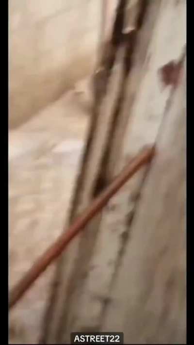 A la verga