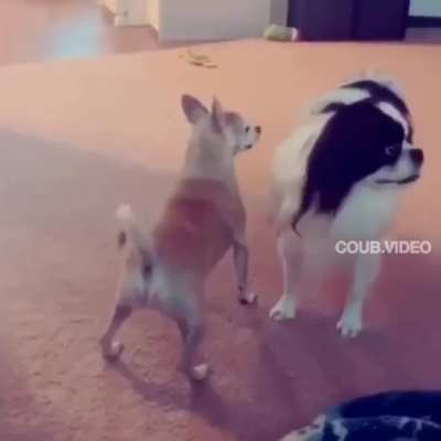 Party time