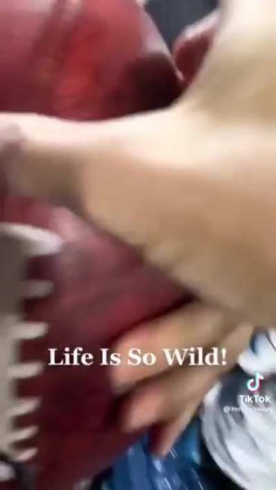 &ldquo;I wanna catch this shit&rdquo;