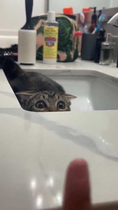 Attack eyes