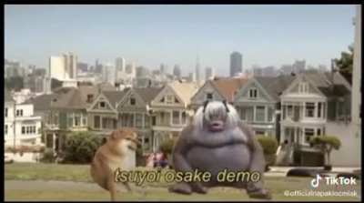 The boys when it comes to hentai