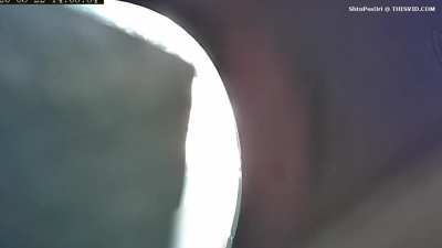 Random #13 