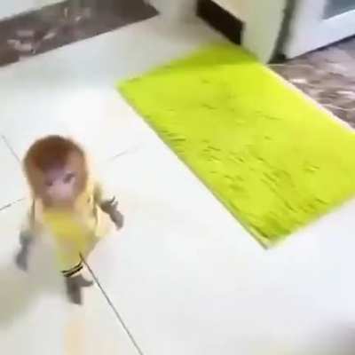 Rule