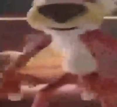 Please dont ban me