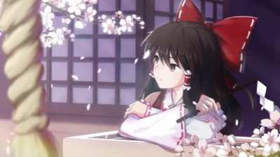Cherry Blossom