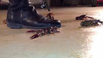 Veronica - Crawdad - Boots