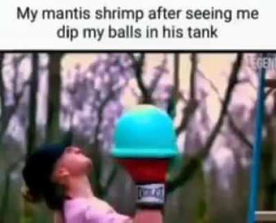 balls