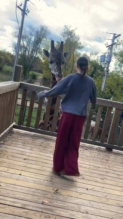 A gentle giant moment you don&rsquo;t see every day