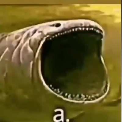 a.