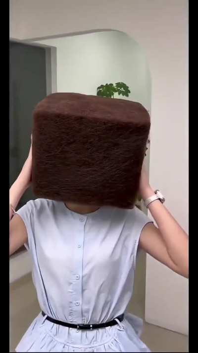Perfect Minecraft hairdo aka "be there and be square"