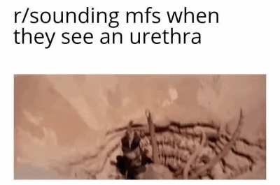 Penis