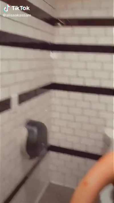 Randomly came across this one of some girls twerking in a bathroom while &ldquo;sad&rdquo; music plays, it&rsquo;s minecraft music.