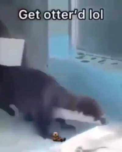 🦦