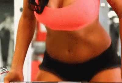 Rosa Mendes