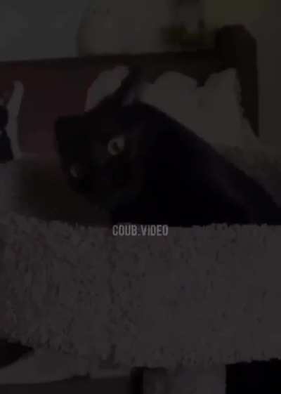 lol