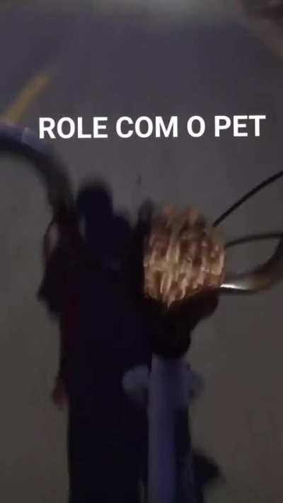 frogo