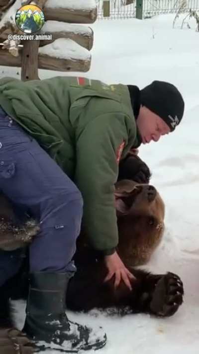 JPOW vs bear