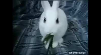 hmm