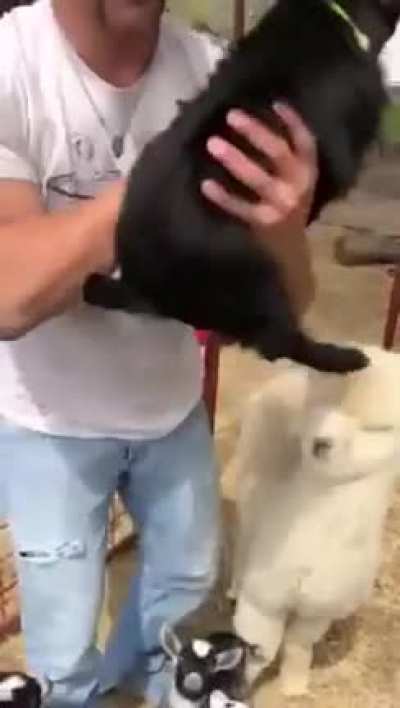 Обнимашки