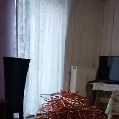 Captura pe ziua de azi