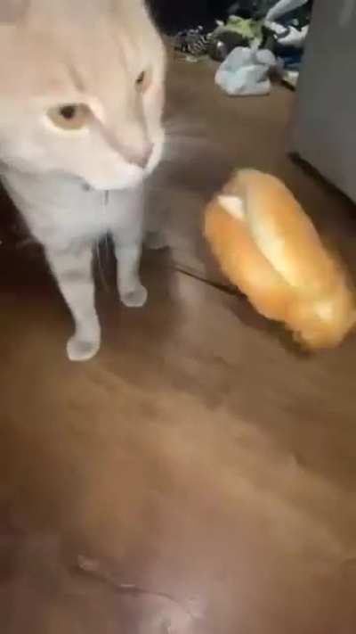 bsncjsjddfssjanffd 😭😭🍔🤦&zwj;♂️asdkfgkdedgfcjjjddddssa