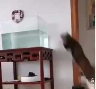 hmmm