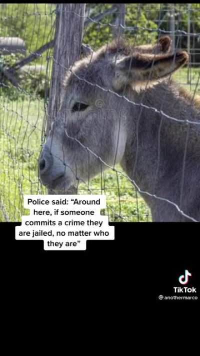 I googled it they&rsquo;ve arrested a bull and dog too.