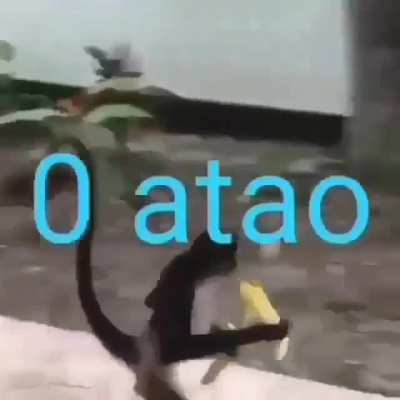 La vida del admin😎🤙