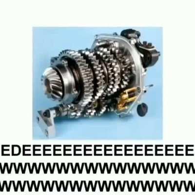 Tabanlı ve kırmızıhaplı bir mim