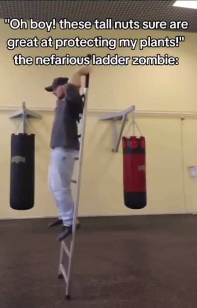 Ladder
