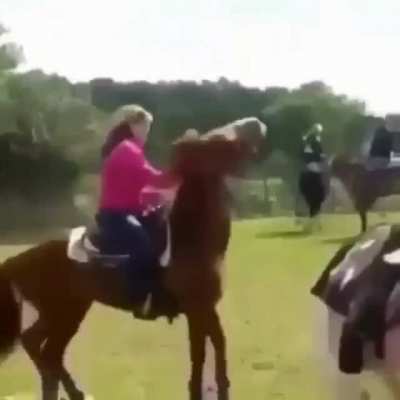Special Move: Stallion Suplex