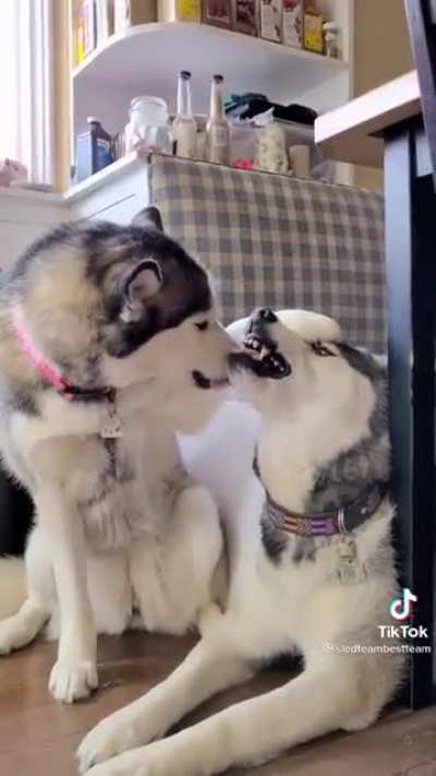 To be aggressive
