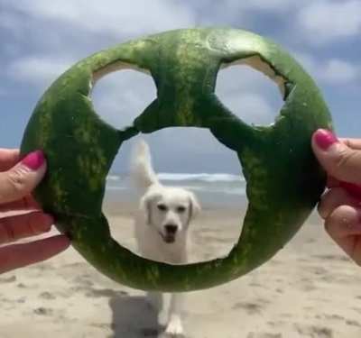 woof irl