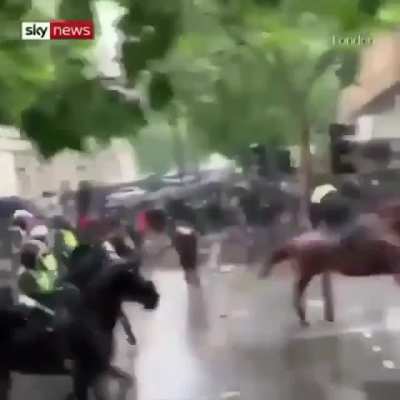 bonk