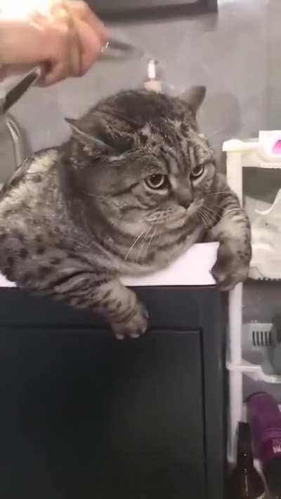 Chonk bath