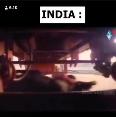 India 😎🤏