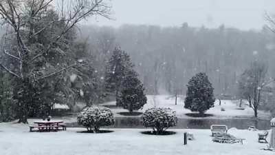 View of my dad&rsquo;s backyard in Mass today