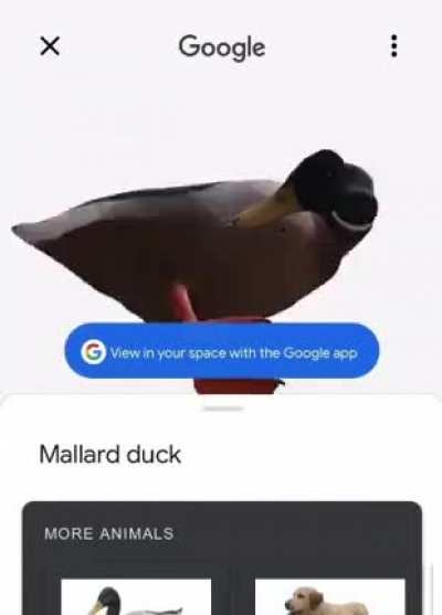 How