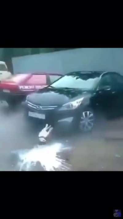 Dog goes into Shock after bottle Explodes (somehow).