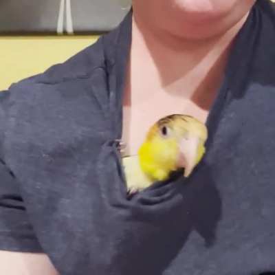 The party&rsquo;s in my shirt